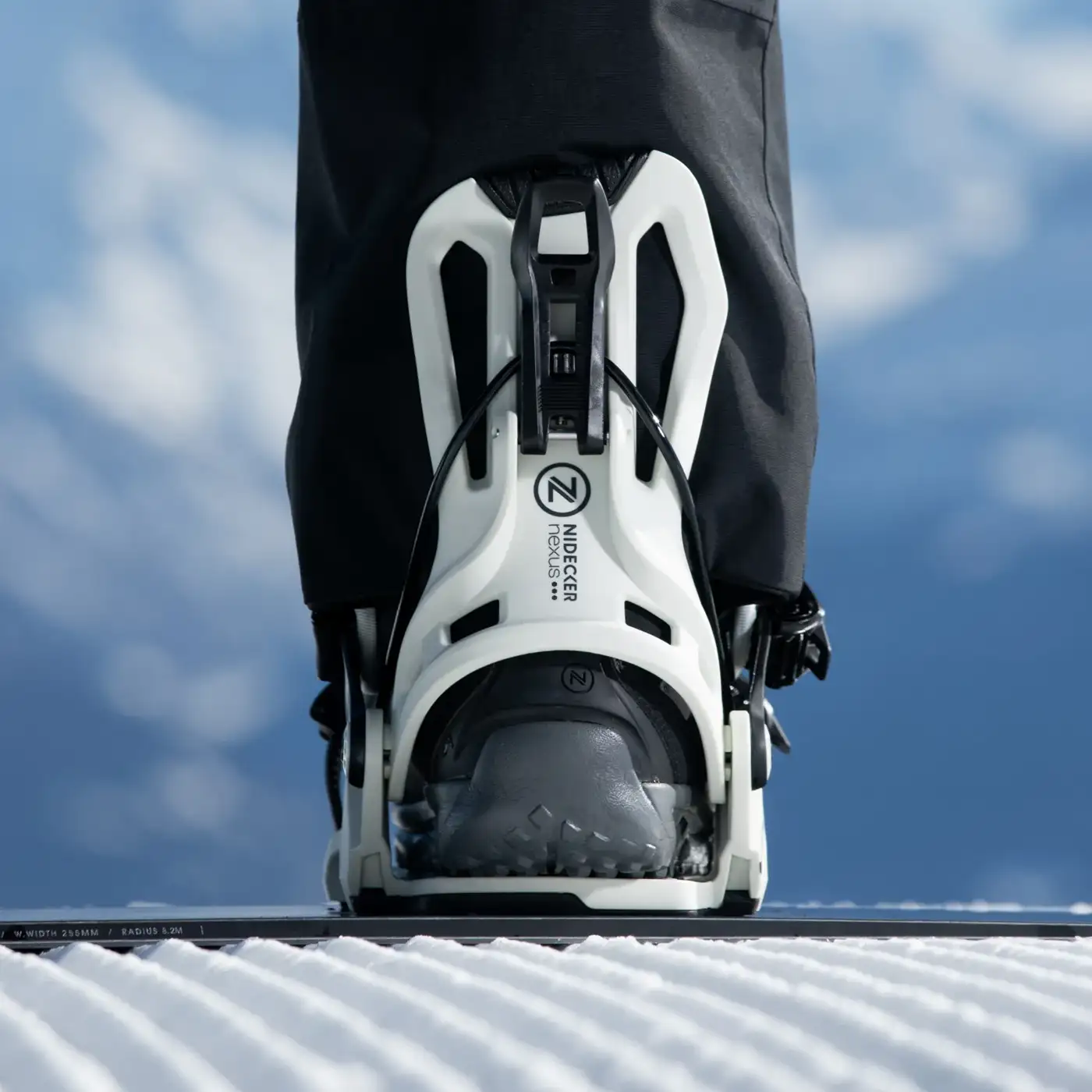 Flow Nexus - Image 7