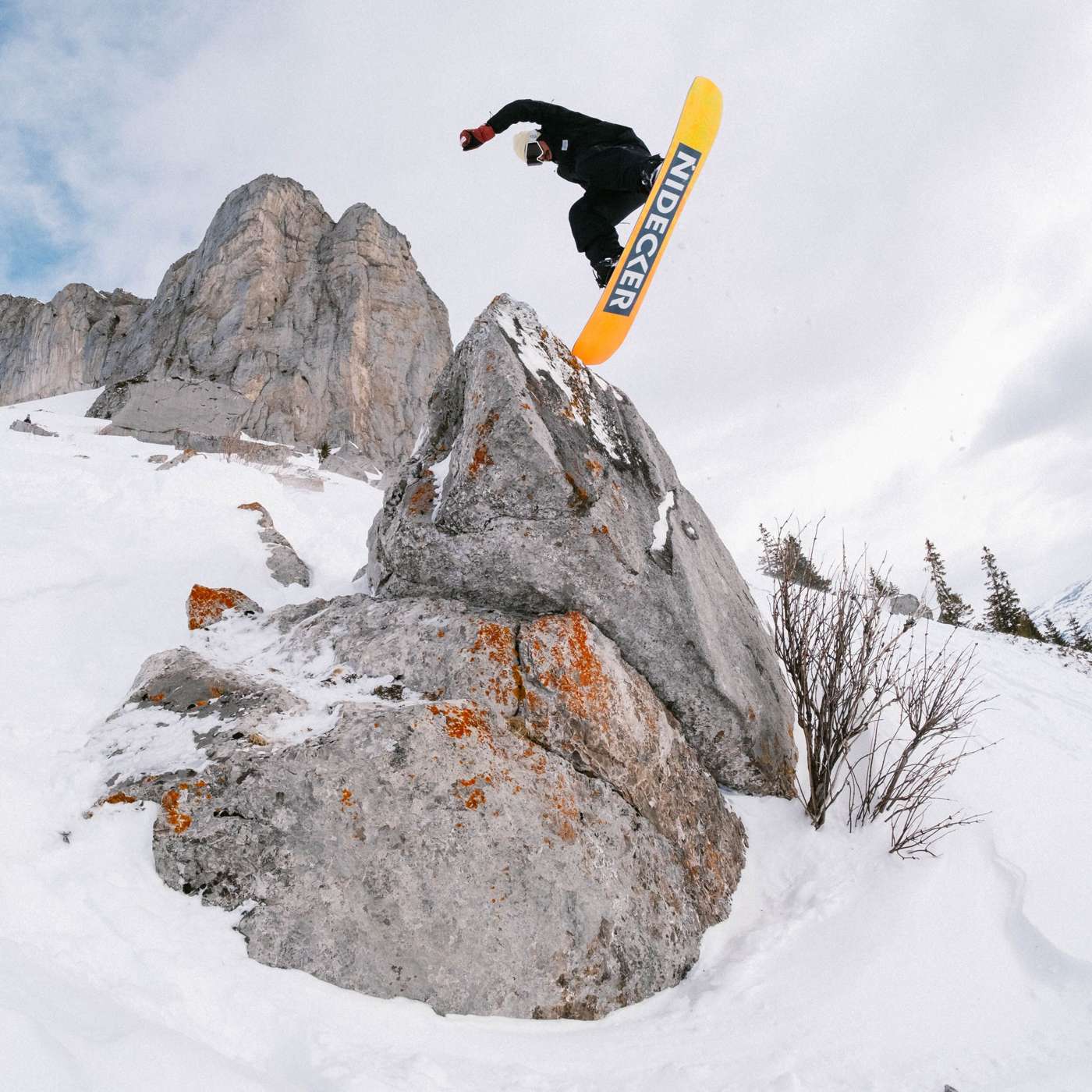 Sensor 2025 - Image 21