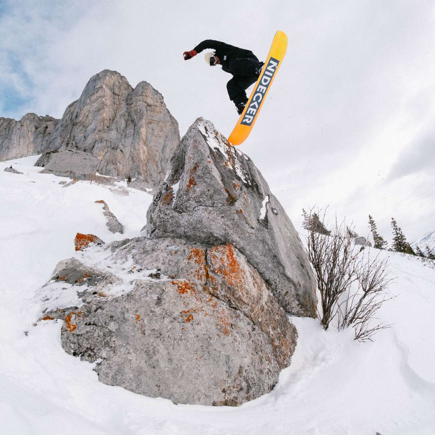 Sensor 2025 - Image 5