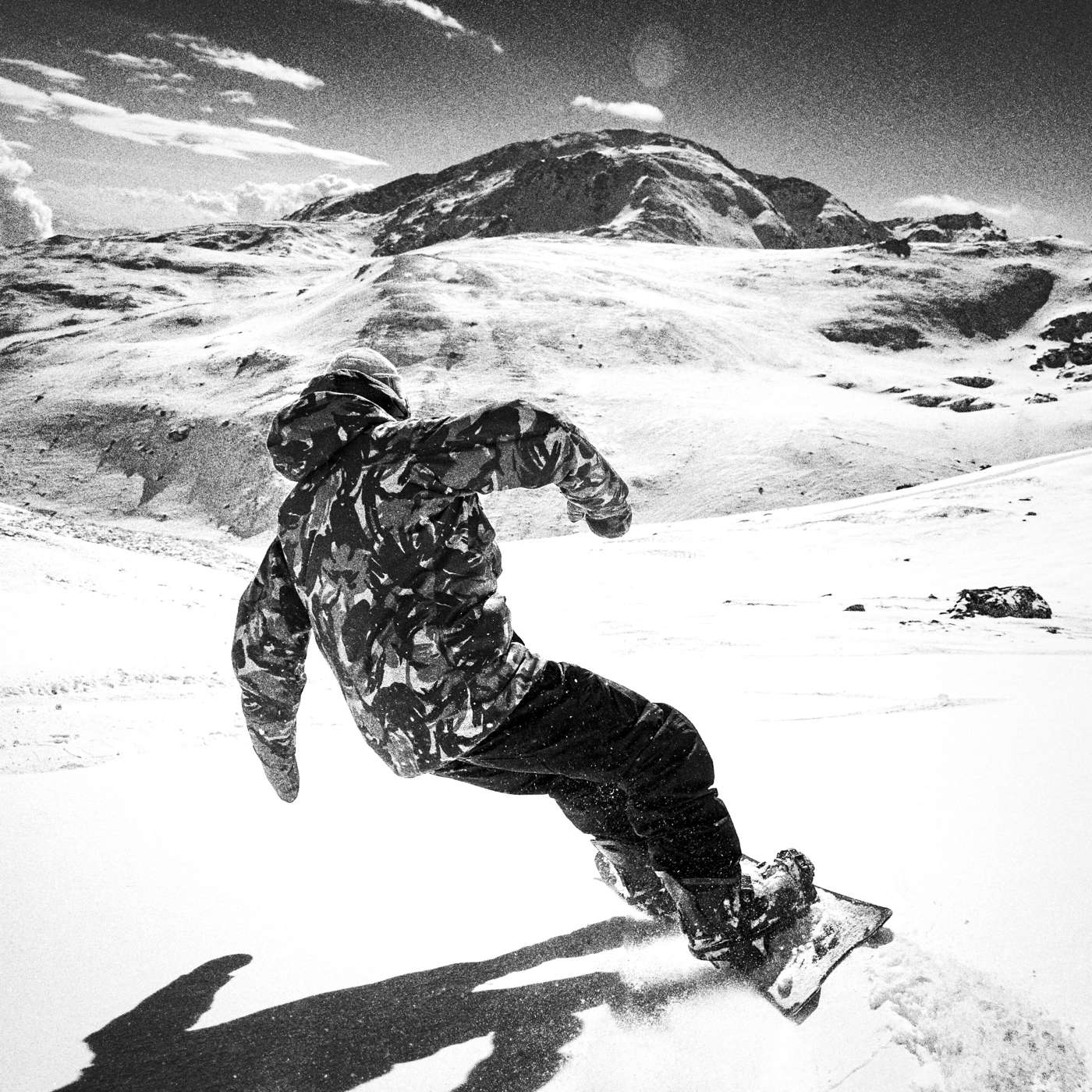 The Mosquito - Image 6